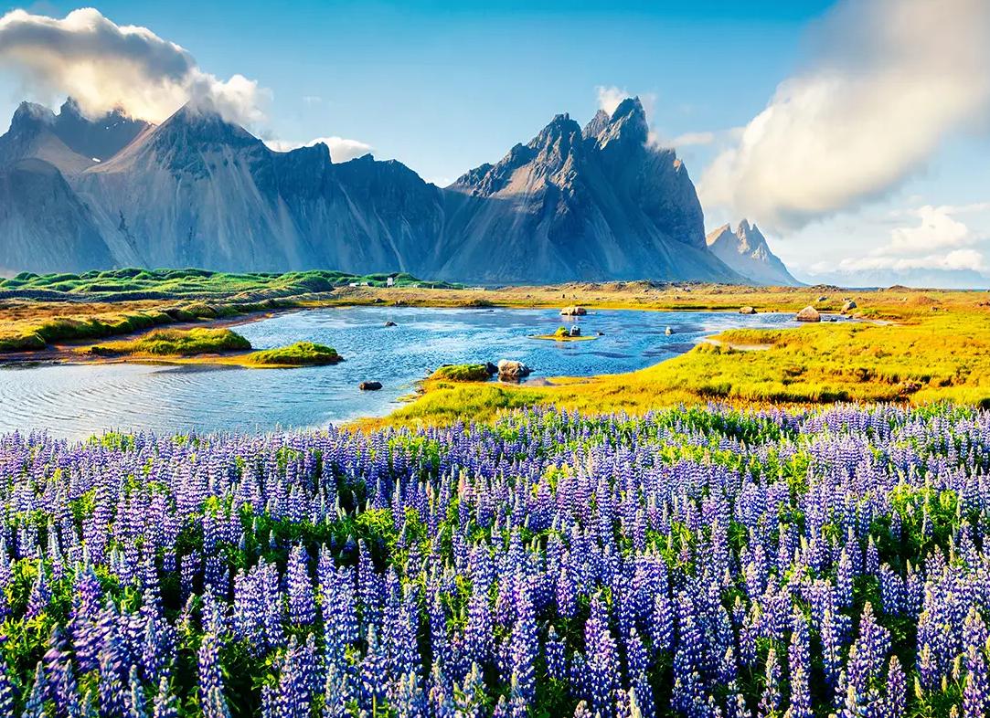 Как оформить Исландскую визу